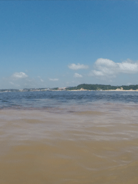 Rio Negra - Manaus , Brasil